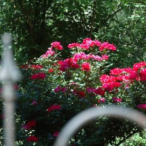 Meet your Posher, Mp